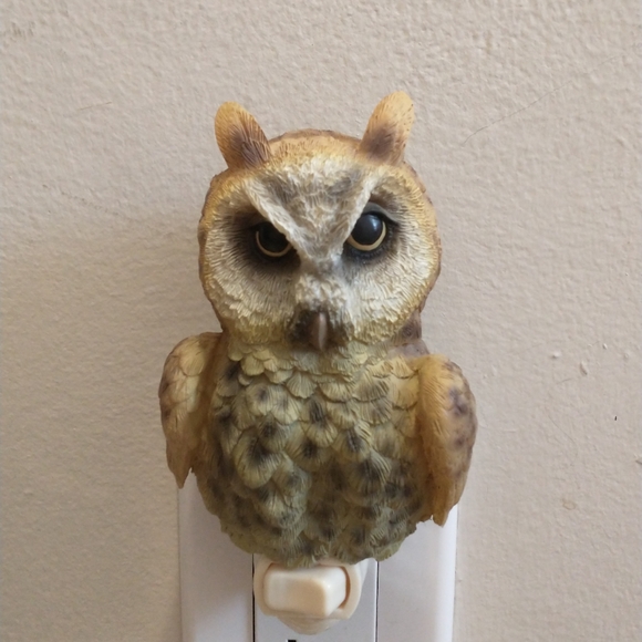 Unique Night Lights - Picture 2 of 14